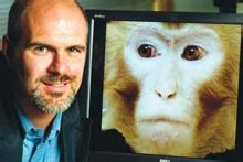 Gambling monkeys give insight into neural mac .